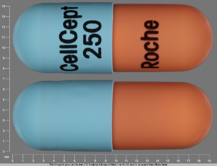 CellCept 250 Roche: (0004-0259) Cellcept 250 mg Oral Capsule by Genentech, Inc.