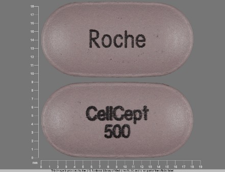 CellCept 500 Roche: (0004-0260) Cellcept 500 mg Oral Tablet by Genentech, Inc.