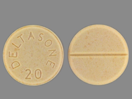 Deltasone 20: (0009-0165) Deltasone 20 mg Oral Tablet by Pharmacia and Upjohn and Company