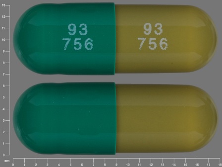 93 756 93 756 : (0093-0756) Piroxicam 10 mg Oral Capsule by Teva Pharmaceuticals USA Inc