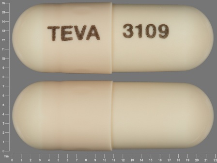 Amoxicillin TEVA;3109