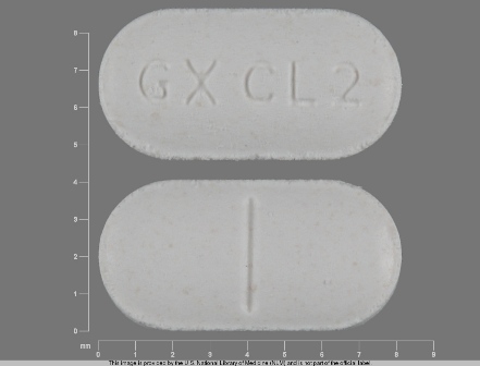 GX CL2: (0173-0526) Lamictal Cd 5 mg Chewable Tablet by Glaxosmithkline LLC