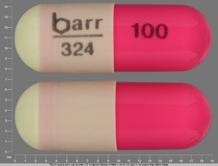 barr 324 100: (0555-0324) Hydroxyzine Hydrochloride 100 mg (Hydroxyzine Pamoate 170.4 mg) Oral Capsule by Barr Laboratories Inc.