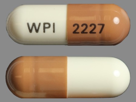 WPI 2227: (0591-2466) Flutamide 125 mg Oral Capsule by Watson Laboratories, Inc.