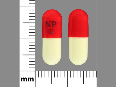 NP 10: (29033-012) Piroxicam 10 mg Oral Capsule by Rebel Distributors Corp
