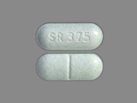SR375: (64543-112) 12 Hr Symax 0.375 mg Extended Release Tablet by Capellon Pharmaceuticals, LLC